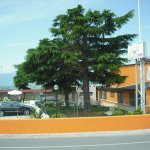 Cascina Garden Hotel