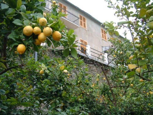 Casa dei Limoni