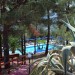 Photo Garden / Swimming pool