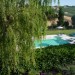 Photos Piscine / Jardin