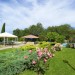 Photo Garden / Swimming pool