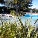 Photos Piscine / Jardin
