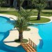 Photo Garden / Swimming pool
