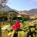 Photos Piscine / Jardin