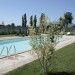 Photos Piscine / Jardin