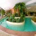 Photos Piscine / Jardin