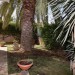 Foto Giardino / Piscina