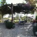 Photos Piscine / Jardin