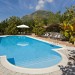 Photo Garden / Swimming pool