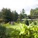 Photo Garden / Swimming pool