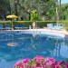 Photo Garden / Swimming pool