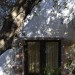 Foto Giardino / Piscina