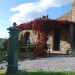 Photo Garden / Swimming pool