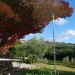Photo Garden / Swimming pool