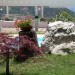 Foto Giardino / Piscina