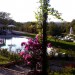 Foto Giardino / Piscina