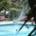 Photo Garden / Swimming pool
