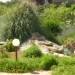 Photo Garden / Swimming pool