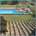 Photo Garden / Swimming pool