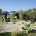 Photo Garden / Swimming pool