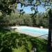 Foto Giardino / Piscina