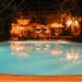 Photos Piscine / Jardin