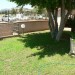 Foto Giardino / Piscina