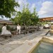 Photo Garden / Swimming pool