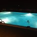 Photo Garden / Swimming pool