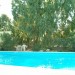 Photo Garden / Swimming pool