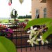 Foto Giardino / Piscina