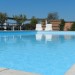 Photo Garden / Swimming pool