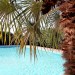 Photos Piscine / Jardin