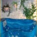 Photos Piscine / Jardin
