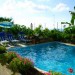 Photos Piscine / Jardin