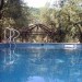 Photos Piscine / Jardin