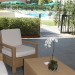 Photo Garden / Swimming pool