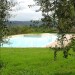 Foto Giardino / Piscina