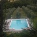 Photo Garden / Swimming pool