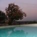 Photo Garden / Swimming pool