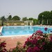 Photos Piscine / Jardin