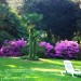 Fotos Jardim / Piscina