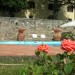 Photo Garden / Swimming pool