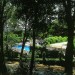 Photo Garden / Swimming pool