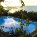 Photo Garden / Swimming pool