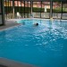 Photo Garden / Swimming pool