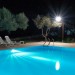 Photo Garden / Swimming pool