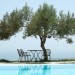 Photo Garden / Swimming pool