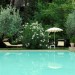 Photo Garden / Swimming pool