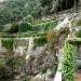 Photo Garden / Swimming pool